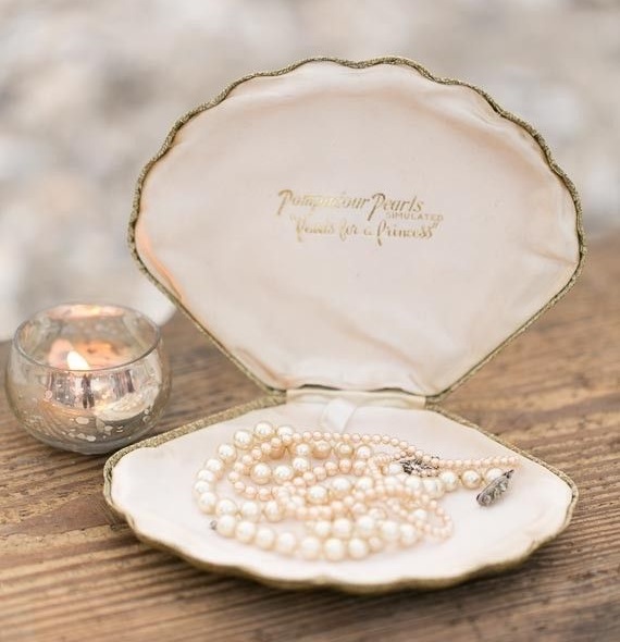 Sea Shell  presentation for Pearl Necklace