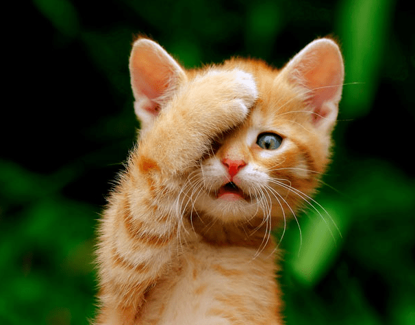 Sneak Peak to trade show display from Rainbows of Light