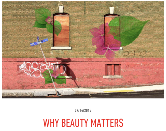 Why Beauty Matters