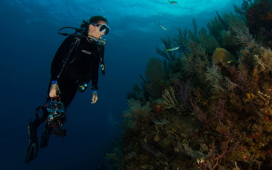 Swarovski Color and Jewelry Trends Spring Summer 2017