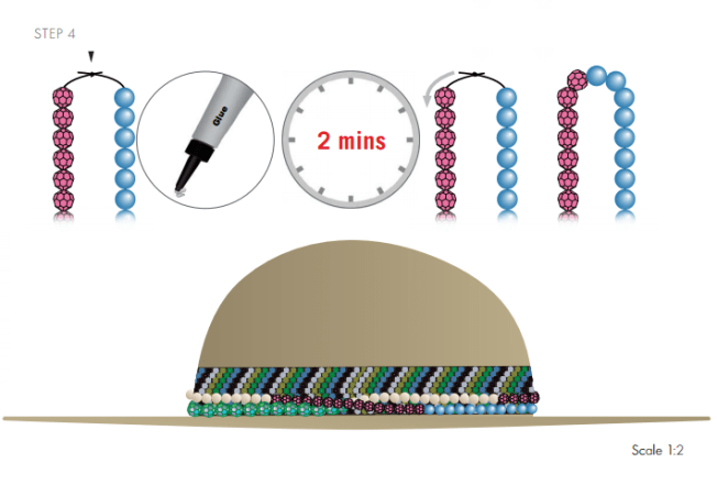 Free DIY Swarovski Crystal Hat Design wholesale Swarovski Crystals from Rainbows of Light.com step 4