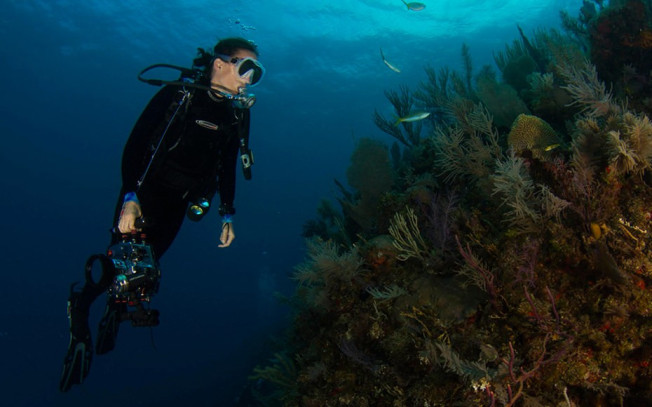 swarovski-color-and-jewelry-trends-spring-summer-2017